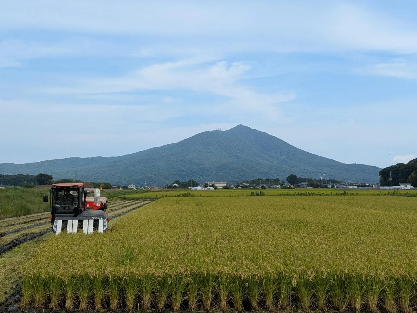 「あきたこまち」の稲刈りを始めました🌾