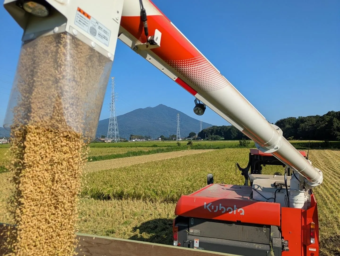 「ササニシキ」の稲刈りをしました🌾